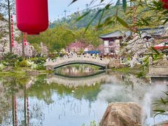 -东湖磨山景区樱花园-停车场