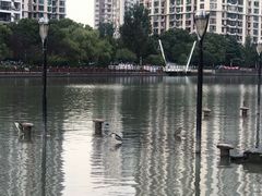 -苏州河梦清园环保主题公园