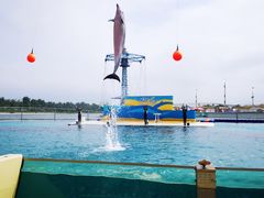 -秦皇岛乐岛海洋王国