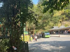 -西双版纳原始森林公园