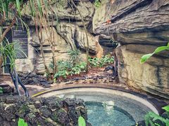 -海口观澜湖火山温泉谷