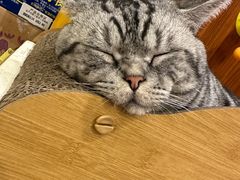 -老蜀人川菜馆(中关村店)