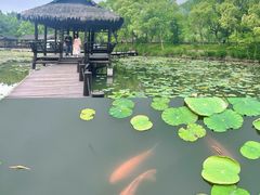 -兰亭风景区