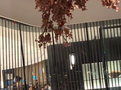 -大头椰·海南椰子鸡火锅(思明万象城店)