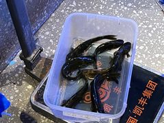 -黔渔翁豆花渎鱼(喷水池店)