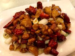 -陈麻婆豆腐总店