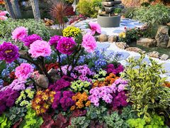 -重庆市江北嘴中央商务区中央公园