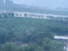 -渭滨公园