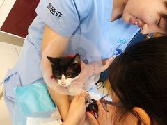 -纳吉亚猫专科动物医院博雅分院