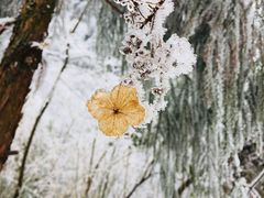 -九峰山