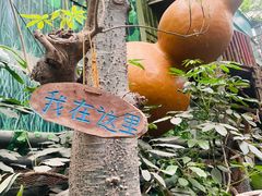 -呀路古热带植物园