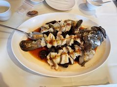 古法蒸老虎斑-利苑酒家(金宝店)