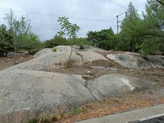 -白水寺森林公园