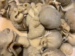 肚包肉-清真·京华源铜锅涮肉(丰庆店)