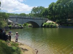 -大兴滨河森林公园