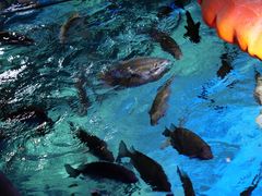 -沈阳海洋探索中心