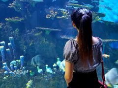 -华夏文旅海洋公园