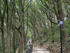 -苏州上方山国家森林公园