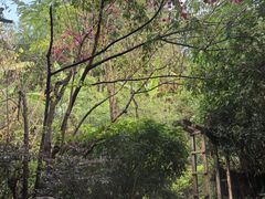 -腾冲洞山温泉村