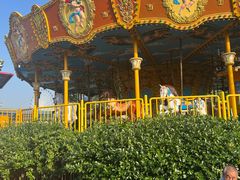 -秦皇岛乐岛海洋王国