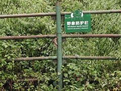 -野象谷景区