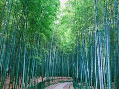 -杭州植物园