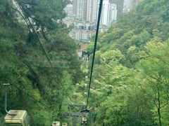-黔灵山公园