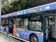 -帕帕拉兹宠物(亚洲旗舰店)