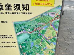 -光明小镇欢乐田园