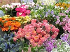 -双季花艺园艺市场(浦东店)