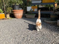-谷咖啡·鲜花绿植花园餐厅