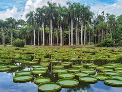 -中国科学院西双版纳热带植物园