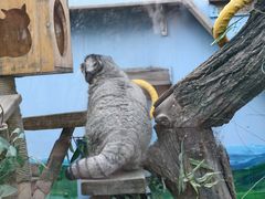 -青藏高原野生动物园