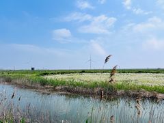 -启东黄金海滩景区