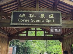 -碧峰峡风景区