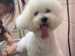 -FAELING PETS美天灵宠物(富力广场店)