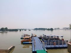 -合肥滨湖国家森林公园