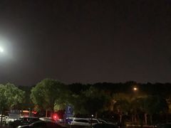 -上海大学生体育中心游泳馆(松江店)