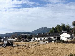 -塔川景区