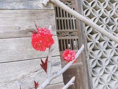 -渔掌门(铁东店)