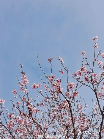 更不要错过这个地方，下班顺路走走都很棒