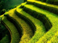 -中影星美国际影城(犀浦百伦店)