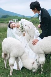 -古摄影婚纱(湛江霞山步行街店)