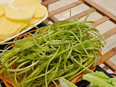 -草墩罗非鱼庄•野生菌•腊排骨(七星街上段店)