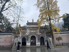 -万泊酒店(长沙五一广场国金中心店)
