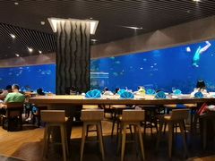 -海棠湾洲际-涛·海底餐厅·美人鱼·自助餐·海底隧道