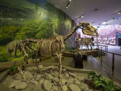 -陕西自然博物馆
