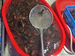 -杨氏青龙虾·羊蝎子(托乐嘉店)