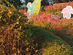 -云溪植物园
