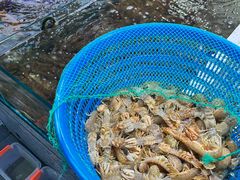 -巧克力渔家.小船海鲜胶东菜(万平口店)